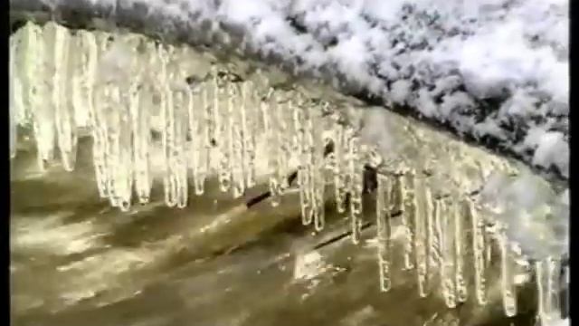 "Предзимье" видеозарисовка О.Машковского.
