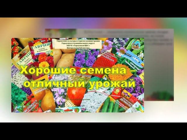 Хорошие семена   отличный урожай