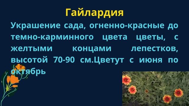 10 многолетников, которые нужно посеять на рассаду в марте и апреле
