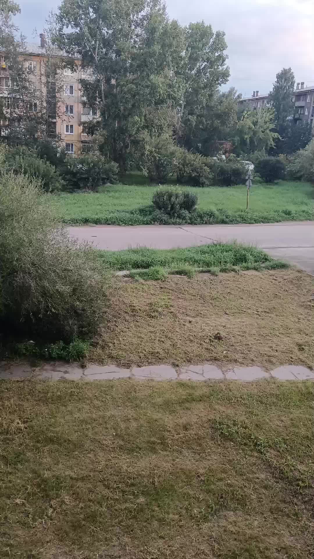 ВЭБ камера