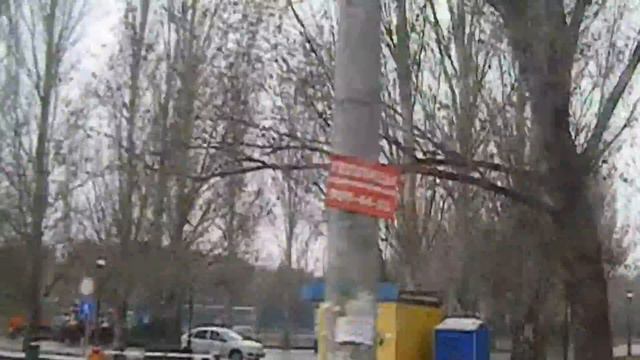 Красота осеннего пасмурного дня.
