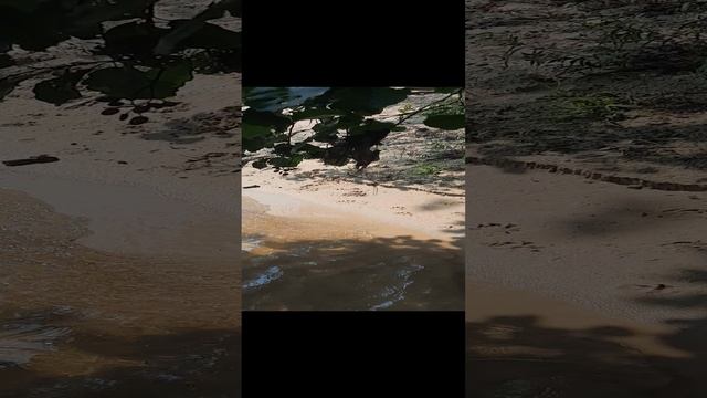 20230804_132718.mp4