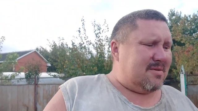 О доходах С вьетнамских свиней