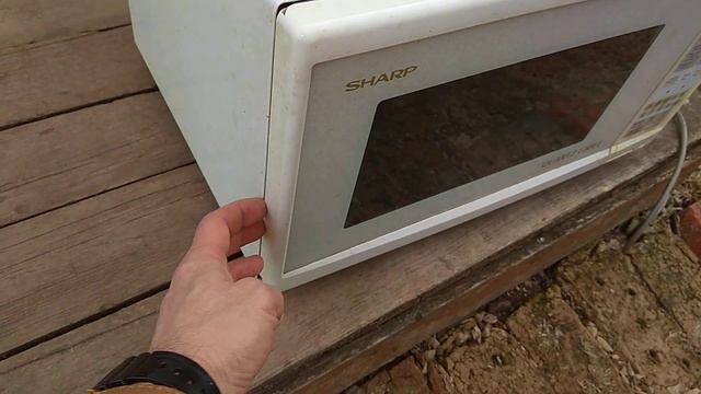 Sharp работала 20 лет