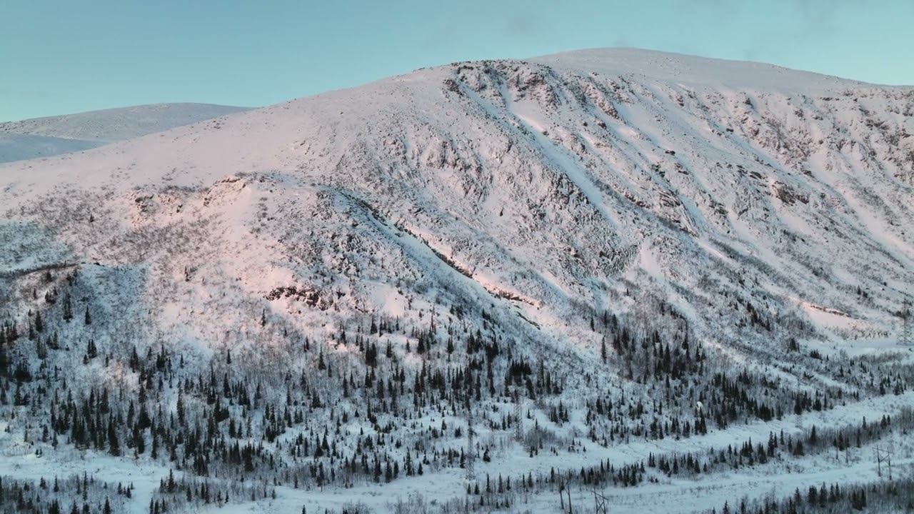 4K216059 hibiny 2wiskj