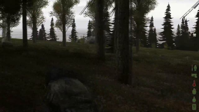 50 оттенков бимера [DayZ Origins]
