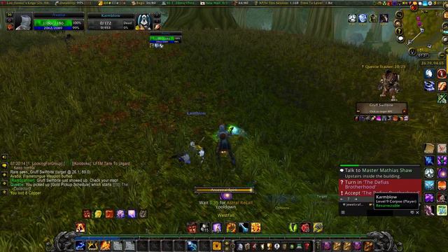 WoW classic  leveling (reputation and RARE FARM ) – Wanted: "Hogger"