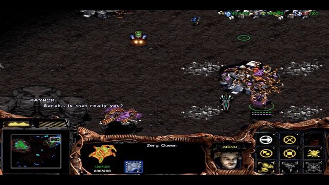 Starcraft Story in 10 Minutes: Raynor, Kerrigan and Zeratul