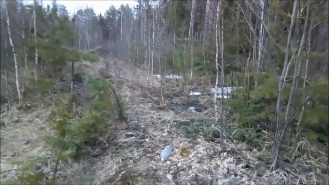 РГ Нота 1 год вл. Шатров В. А.