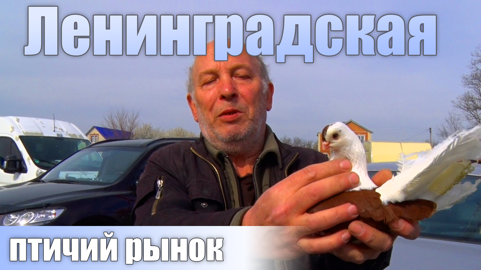 Птичий рынок. Ленинградская. Часть 5. [10.04.2022]