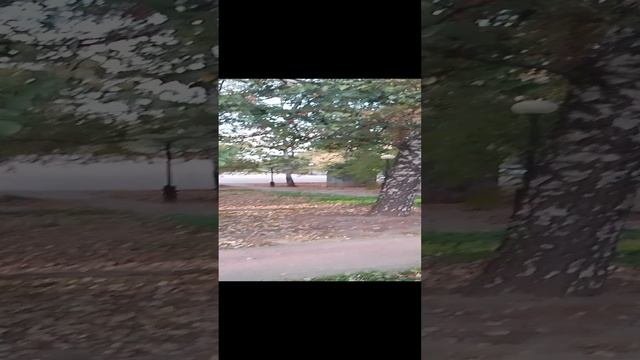 осенью.mp4