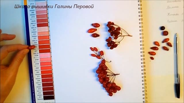 Палитра осенних ягод