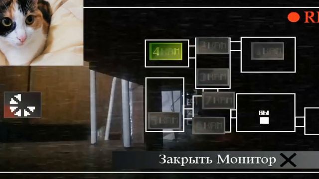 Ася играет в 5 ночей с ёжиком
