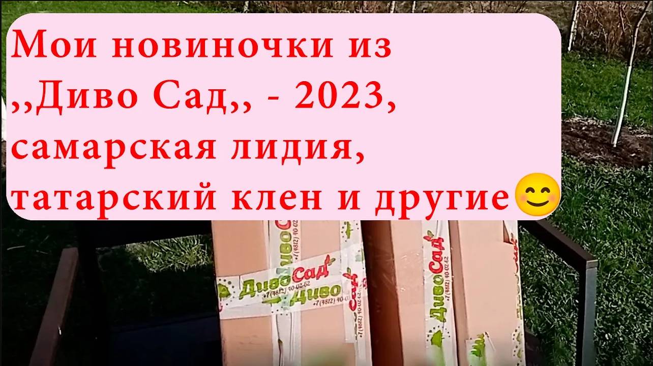 Мои новиночки из ,,Диво Сад,, - 2023, самарская лидия, татарский клен и другие😊