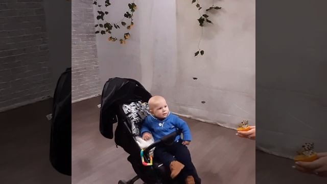 Дениска на выставке бабочек