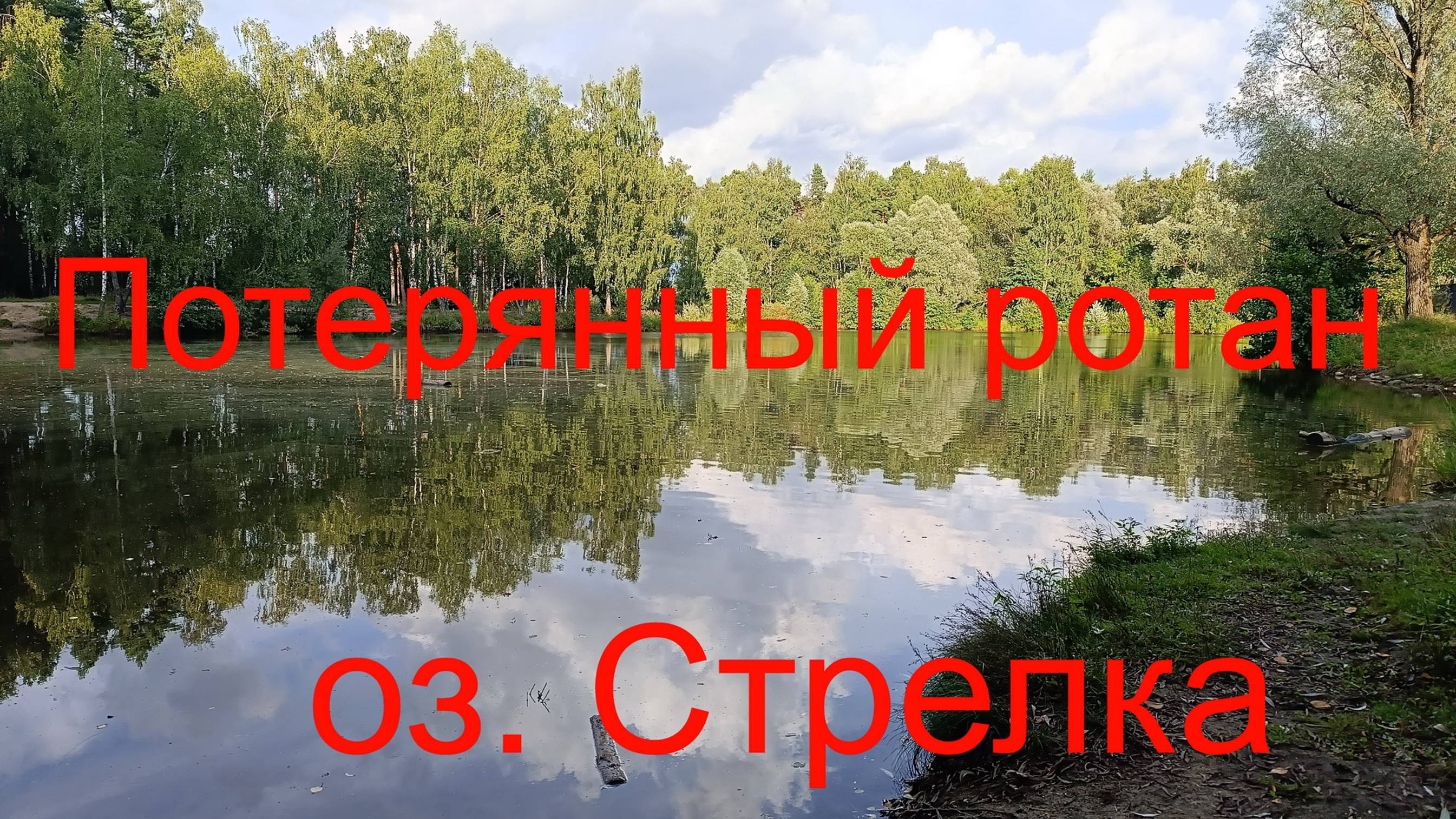 Потерянный ротан. оз. Стрелка. г. Раменское 12.08.2024.