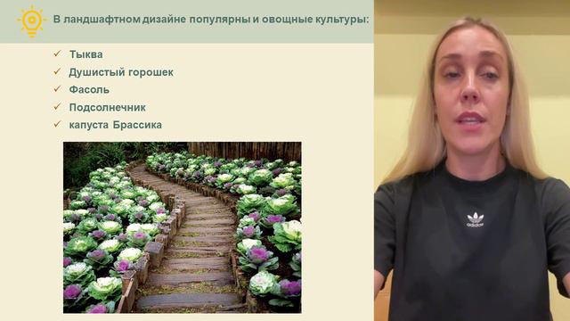 rastenia-dla-land-dizajna - смотреть видео онлайн от «channel36597164» в хорошем качестве, опубликов