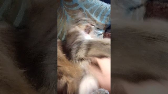 1000004969.mp4