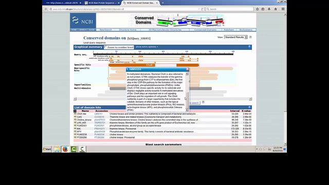 Biochemistry lab   BLAST tutorial
