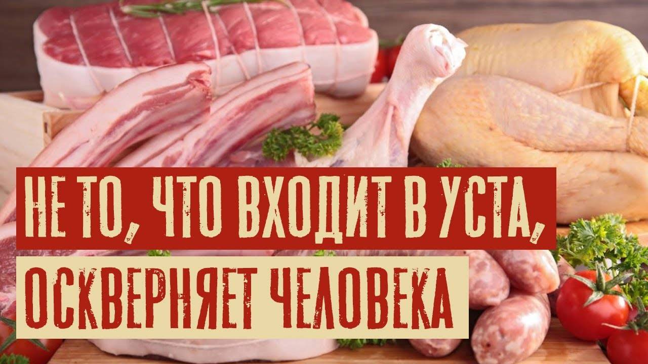 Hе то, что входит в уста, оскверняет человека | Раввин Михаил Финкель