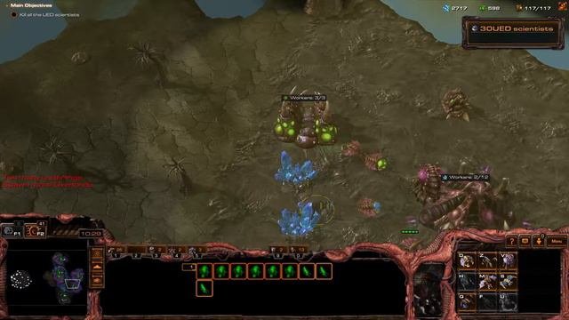 SCRTGW Mission 6 (Queen Of Blades) - StarCraft Reawakening The Great War