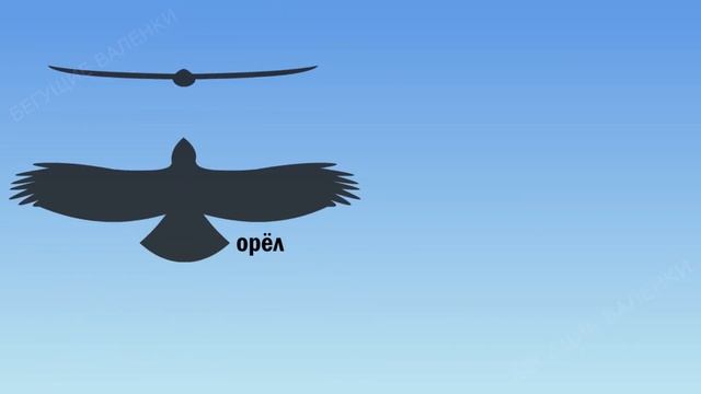 Хищные птицы: повелители неба  Познавательное видео