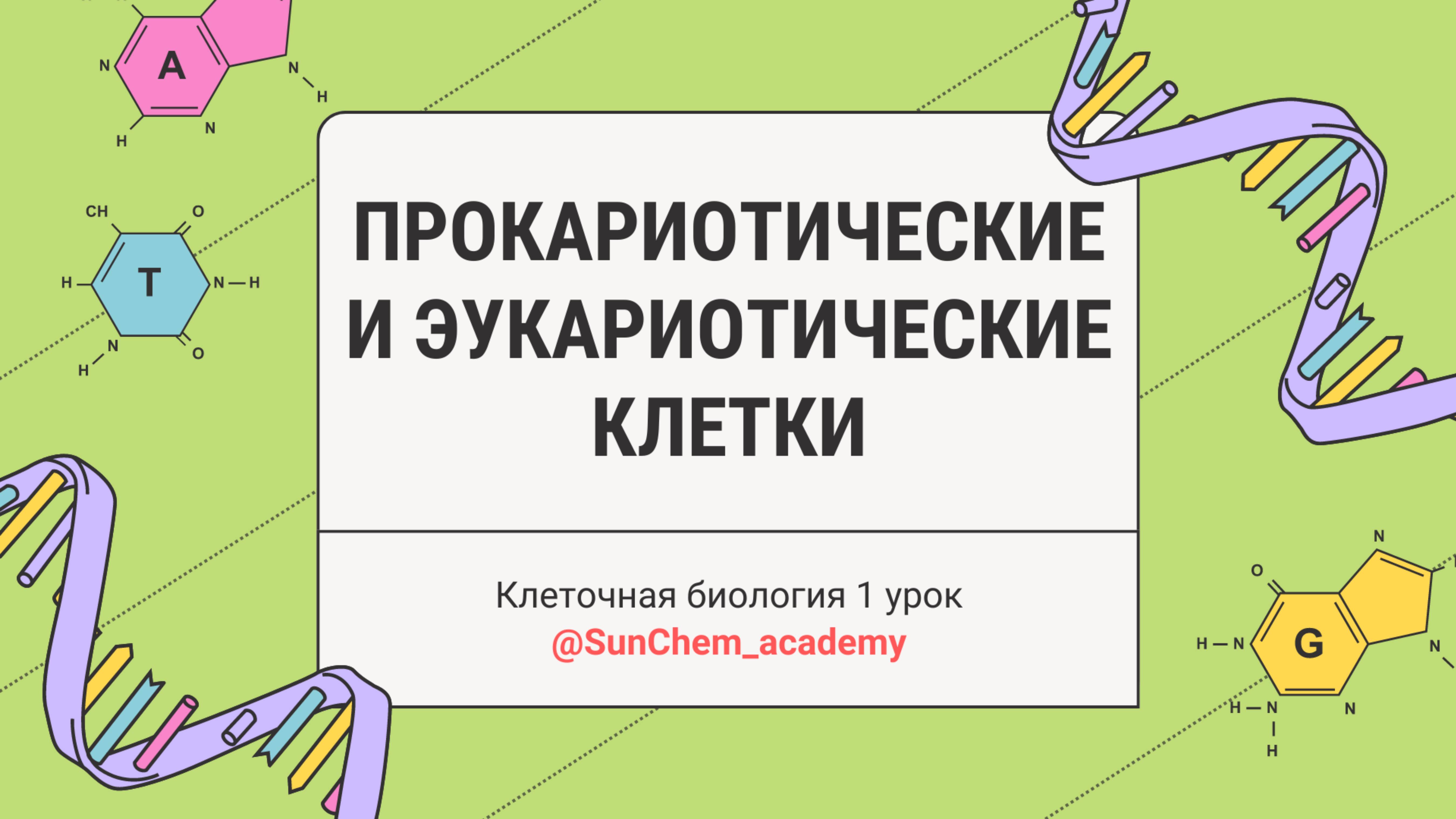 1-урок. Прокариотические и эукариотические клетки | Порядок величины в биологии и его расчет