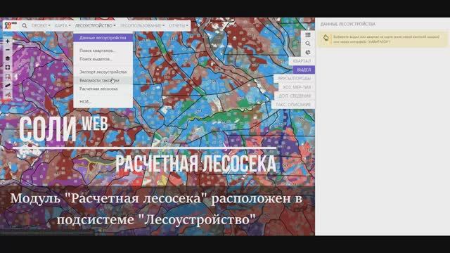 Исчисление расчетных лесосек по сплошным и выборочным рубкам в СОЛИweb