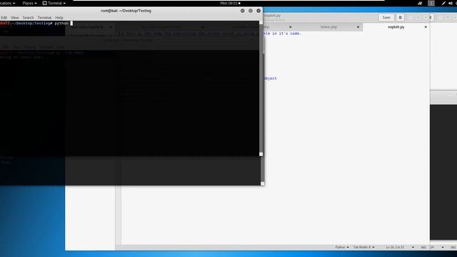 Python Insecure Deserialization