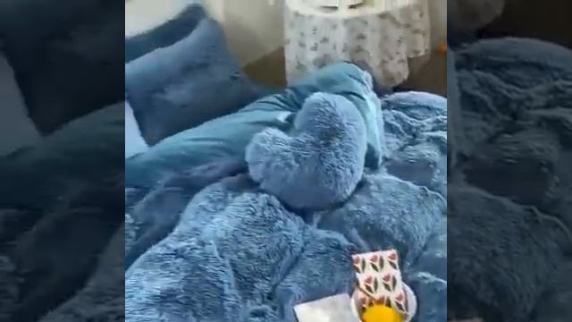 зимний теплый комплект постельного белья