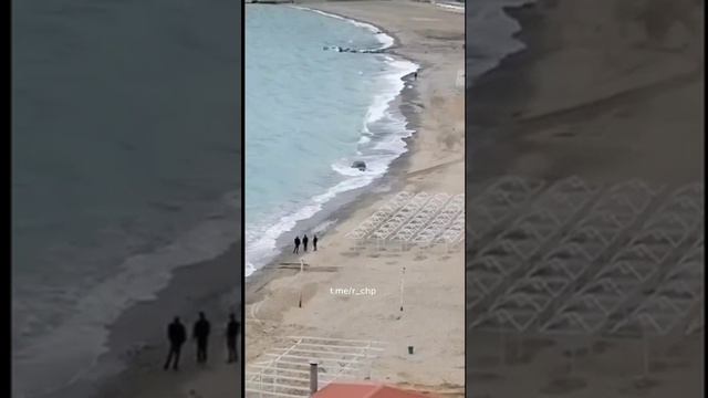 Пьяные туристы утопили BMW в Черном море 🌊🚙