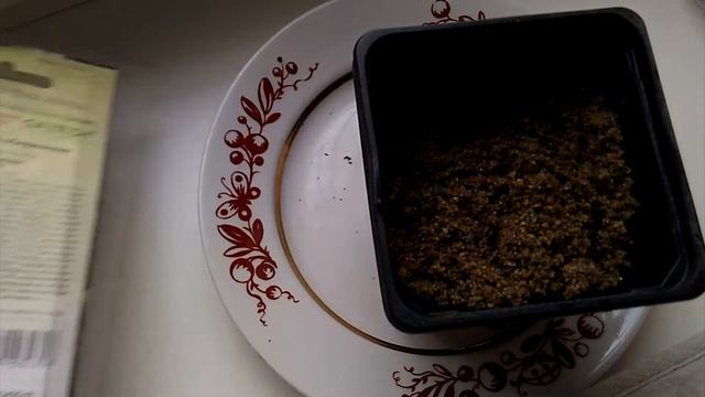 Магнолия обнаженная Юлиана семенами от Гавриш не взошла