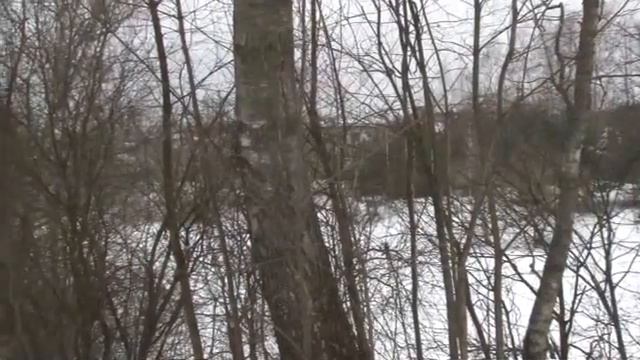 Священномученик Николай Маслов, пресвитер 17 01
