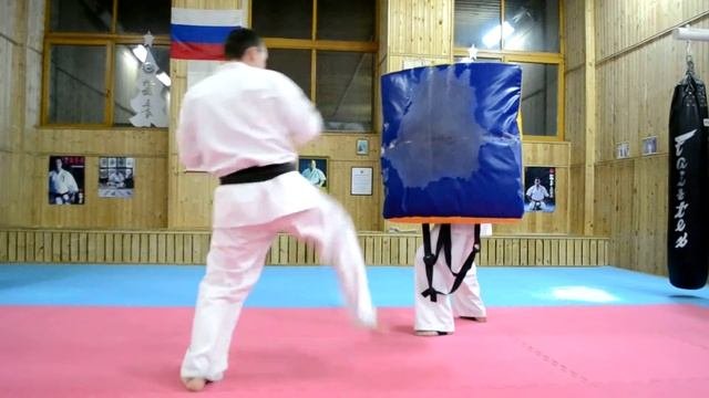 SHINKYOKUSHIN. Нурмухаметов Ильнар. Уширо маваши в падении