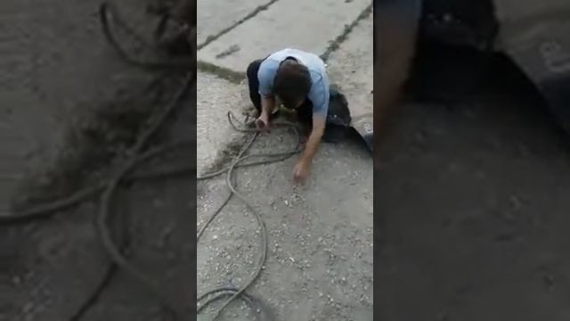 А вы умеете варить камни