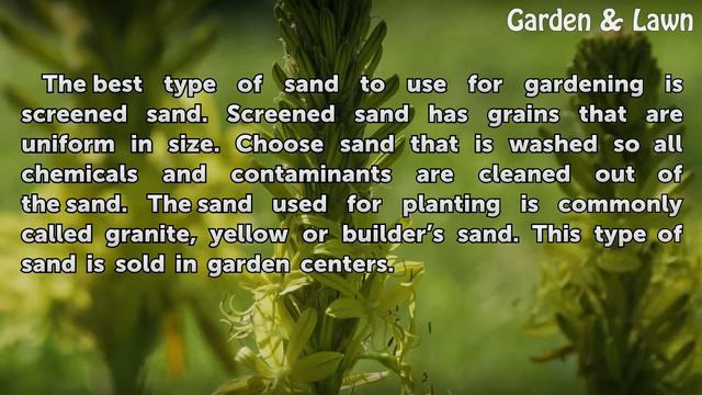 What Type of Sand Do I Use for Planting?