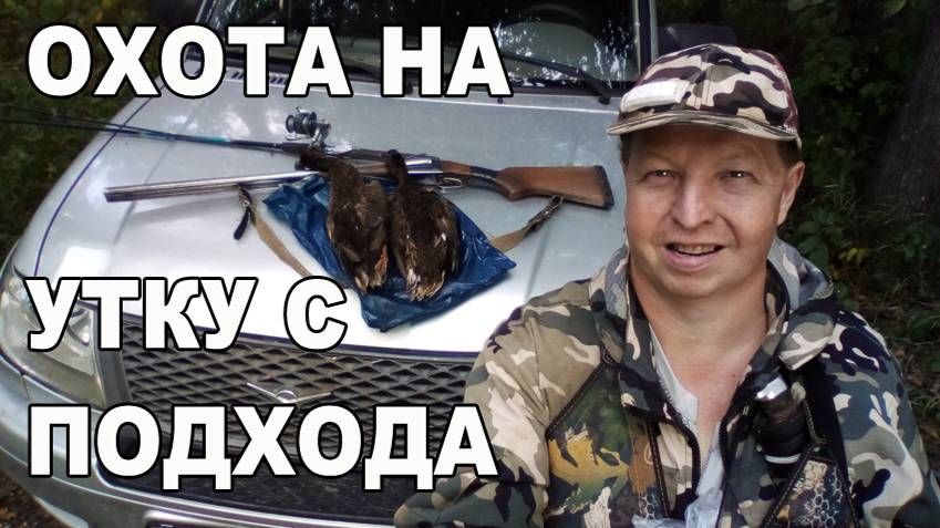 охота с подхода