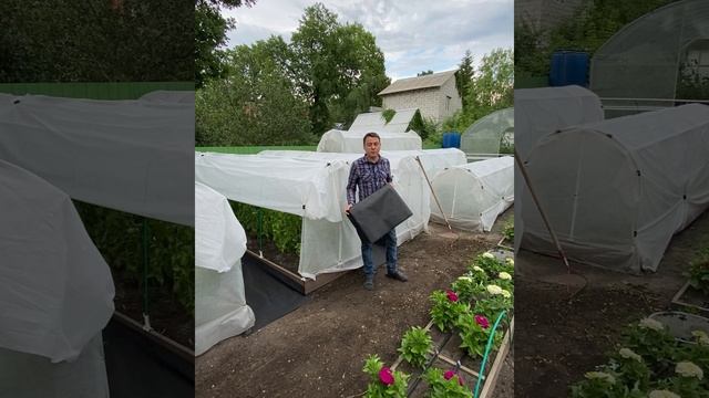 Проходы между грядками