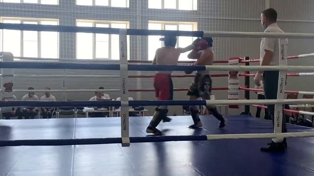 Кубок Волгограда по кикбоксингу