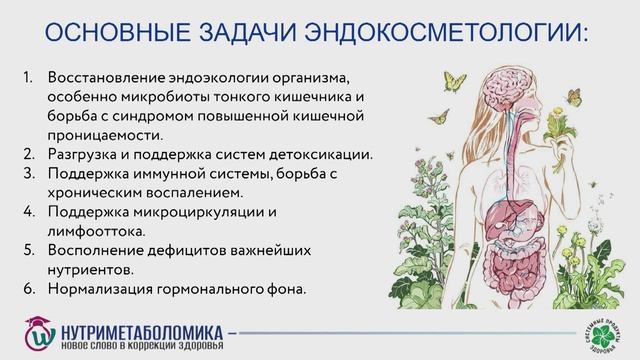 Фетищева Е.Ю. эндокосметология как направление работы специалиста в области велнес - бьюти