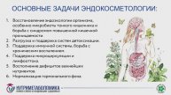 Фетищева Е.Ю. эндокосметология как направление работы специалиста в области велнес - бьюти