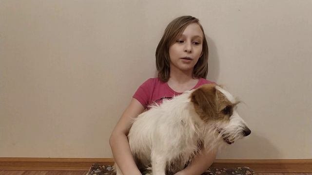 #УчимДома_Урок окружающего мира_Породы собак 2д