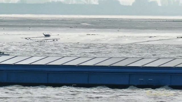 Bergfahrt Binnenschiff GMS FIAT VOLUNTAS PH5046 MMSI 244750316 Emden inland cargo ship BJ 1954
