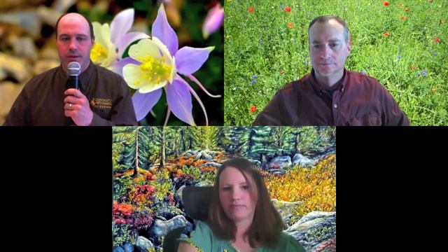 Choosing and growing flowers in Wyoming
