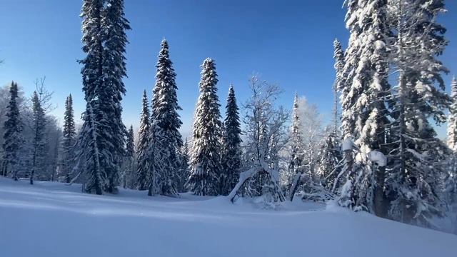 Счастье живет рядом с нами