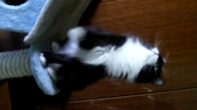Игрушечная кошечка ПОХОЖАЯ НА МАТРЁШКУ