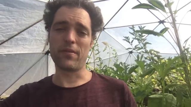 Aquaponic Abundance / Potato Bag 4’x6’ “Tower" Details — YOU CAN DO THIS