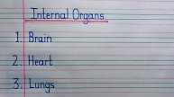 Internal Organs | 5 Internal Organs | Five Internal Organs | Internal Organs name