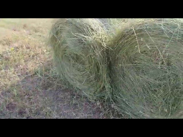 Рулоны сена