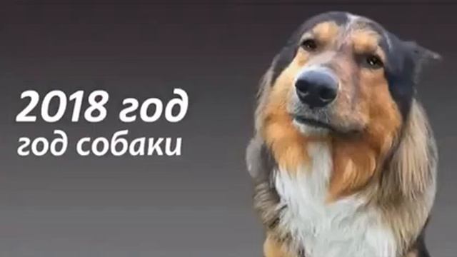 Новый год стучится в дверь!